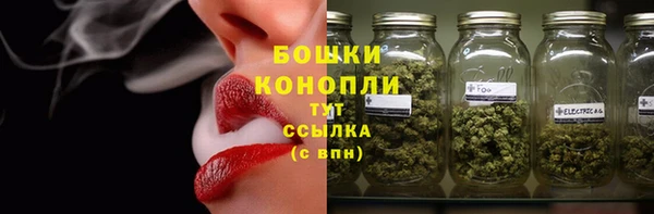 ПСИЛОЦИБИНОВЫЕ ГРИБЫ Лиски