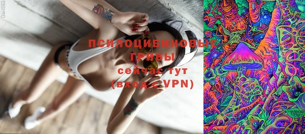 ПСИЛОЦИБИНОВЫЕ ГРИБЫ Лиски