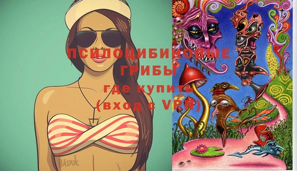 ПСИЛОЦИБИНОВЫЕ ГРИБЫ Лиски