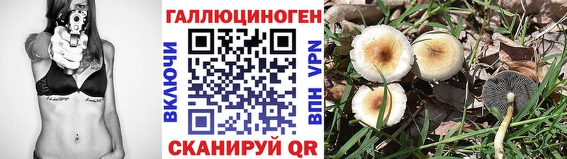 Галлюциногенные грибы прущие грибы  Купить закладки  Печора 
